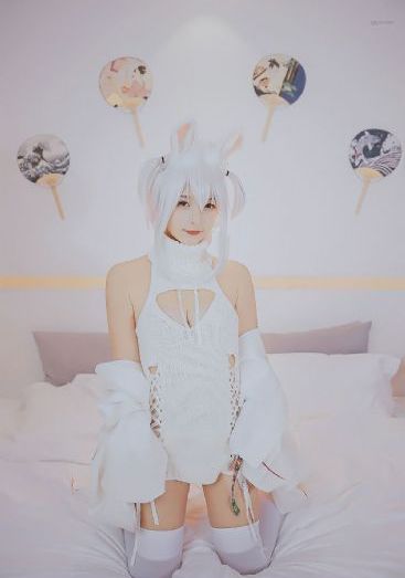 爱妃影视