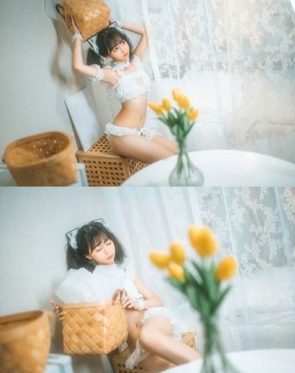 杨振宁