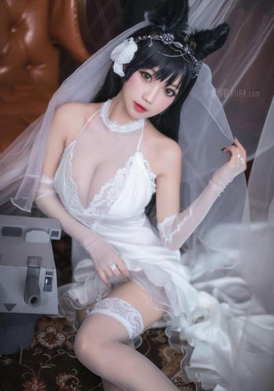 24种b型标意图
