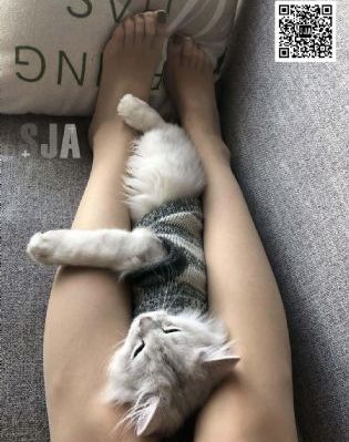 荀字怎么读