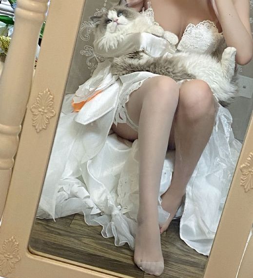 春风物语