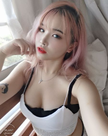 哀牢山发现全球仅千只的鸟