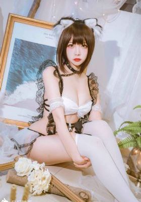 巡回检察组演员表